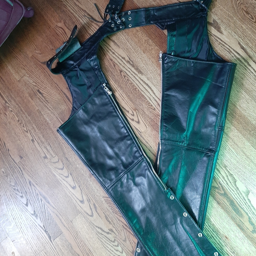 Leather Chaps - image 1